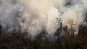 Incendios forestales: reporte del trabajo para sofocar el foco ígneo