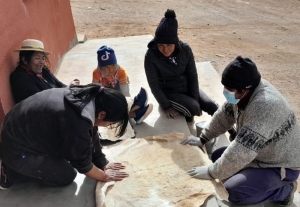Agregado de Valor: Exar e INTI impulsan marroquinería y peletería en Pastos Chicos