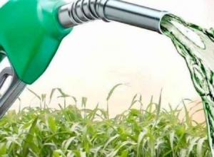 Biocombustibles: productores piden reunión urgente con Nación para frenar la crisis