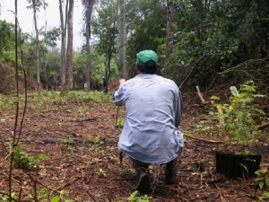 Desde marzo se capacitará sobre buenas prácticas laborales para el sector forestal