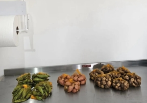 Planta procesadora de papa andina y quinua: inauguraron primera etapa