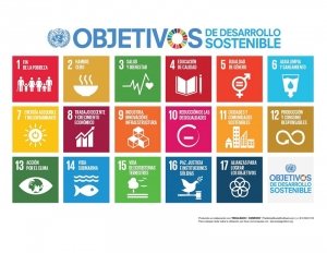 Desarrollo Sostenible: retroceso &quot;entre 2015 y 2019&quot;y el desafío frente a 17 objetivos