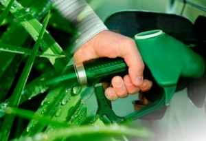 Legisladores de Jujuy y la región pidieron a Nación cambios en biocombustibles