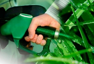 Precio del bioetanol: exigen revertir una “medida arbitraria y centralista”