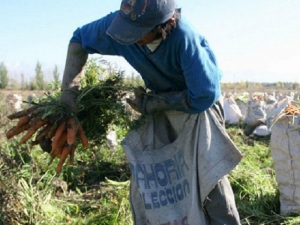 Trabajadores y empleadores rurales, responsables de la alimentación argentina