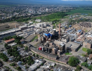 Ledesma cierra planta papelera en San Luis y reordena inversiones en Jujuy
