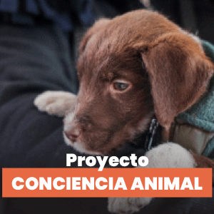 octubre_gobierno_2025_300-x-300.gif