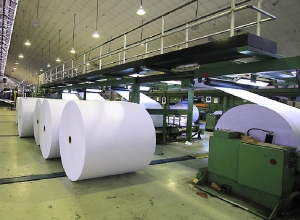 Difundieron virtudes del papel juje&ntilde;o con fibra de ca&ntilde;a, &uacute;nico en el mundo