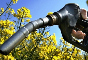 Entr&oacute; en vigencia la nueva ley de biocombustibles