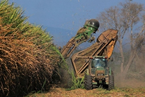 El Ingenio La Esperanza inici&oacute; la zafra 2021