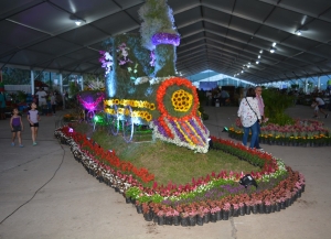 Se realizar&aacute; la gran expo "La Flor m&aacute;s Bella"