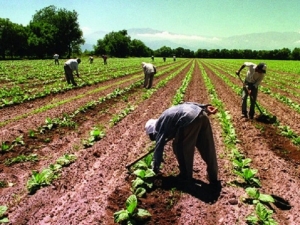 Trabajan para la compatibilidad entre planes sociales y registro de trabajadores temporarios