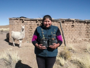 Proyecto social y ambiental en pantalla: &ldquo;&Aacute;rbol y Vida&rdquo; se suma al Cine M&oacute;vil