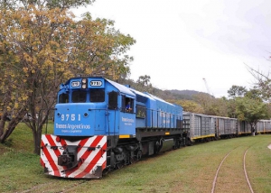 Ferrocarril: alternativa para las economías regionales