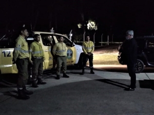 Cinco juje&ntilde;os combatir&aacute;n incendios en Corrientes