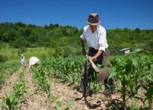 Beneficios sociales y ruralidad: propuestas para “contar con la valiosa mano de obra”