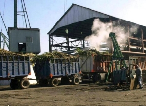 Falta gas en plena zafra: producciones del norte argentino reclaman soluciones