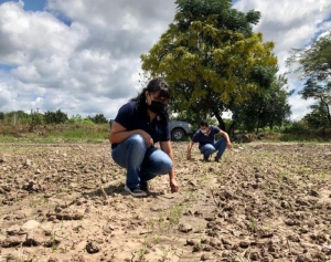 Intensifican acciones para mejorar la productividad de los suelos juje&ntilde;os
