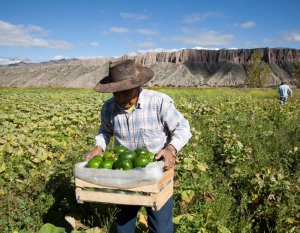 Capacitación gratuita sobre agroecología