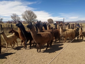 El INTA en el Norte: patrimonio cient&iacute;fico y productivo que trasciende cualquier ajuste