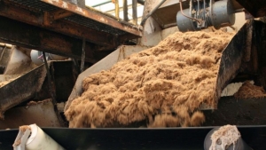 Récord de exportaciones azucareras y "notable" producción de alcohol