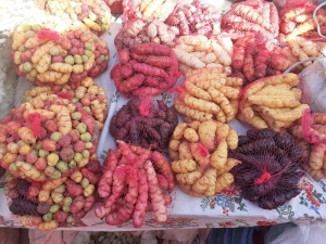 Gran Feria Campesina: m&aacute;s de 120 productores ofrecer&aacute;n su potencial en la capital juje&ntilde;a