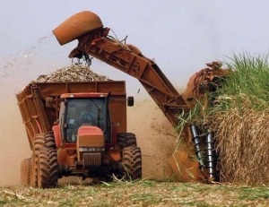 Industria azucarera y bioetanol, con "dudas que tendr&aacute;n que ser evacuadas&rdquo;