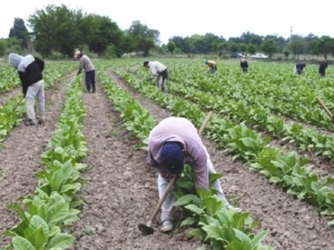 Trabajadores rurales adhieren al paro general del 10 de abril