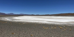 Litio: Argentina duplicará su cuota global para 2027 gracias a un proyecto de Jujuy