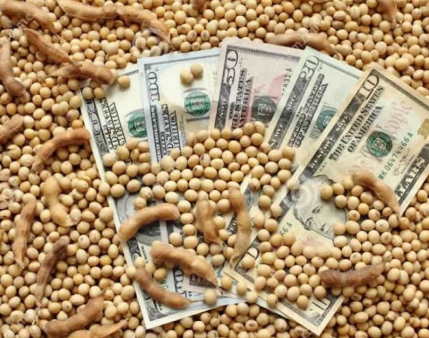 Fondo sojero: &iquest;la provincia ya est&aacute; compensada?