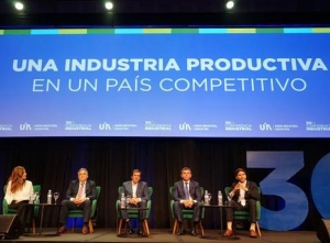 Inversiones: Sadir anticipó “de tres a cuatro proyectos mineros” en el marco del RIGI