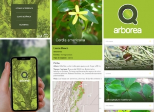 Llega la app del NOA para conocer los &aacute;rboles nativos y ex&oacute;ticos asilvestrados