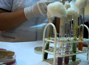 Bioqu&iacute;micos del NOA en alerta: piden &ldquo;equidad&rdquo; nacional