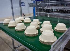 Ledesma revoluciona la industria: primer despacho de envases sostenibles hechos con pulpa de ca&ntilde;a de az&uacute;car