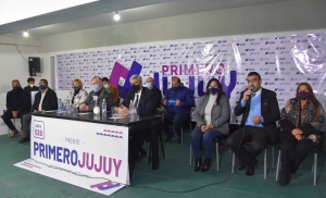 Representaci&oacute;n departamental en la Legislatura, parte de las propuestas electorales