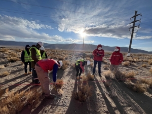 20.000 millones de pesos invertidos en Jujuy: EXAR presentó su Informe de Sostenibilidad 2023
