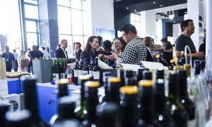 Promocionan vinos de altura del norte argentino