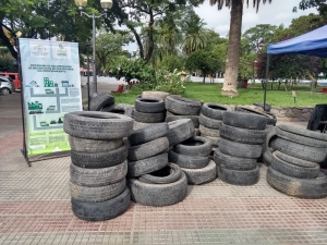 Más de 700 neumáticos fuera de uso fueron recuperados