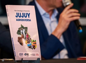 Sadir present&oacute; el Plan Estrat&eacute;gico Jujuy Agrodiversa