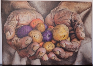 Premio Ledesma de Artes Visuales 2025: los ganadores