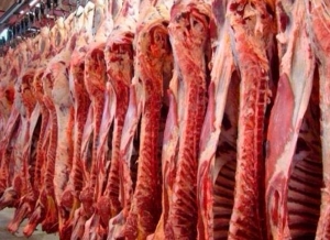 Cay&oacute; la faena bovina en Jujuy