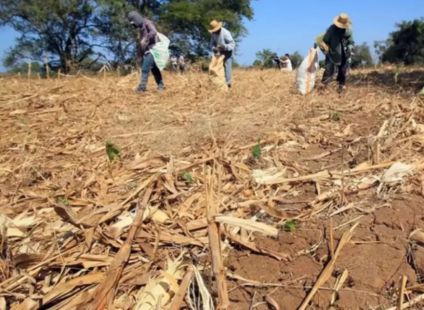 El Gobierno Nacional anticip&oacute; medidas para el campo por la sequ&iacute;a