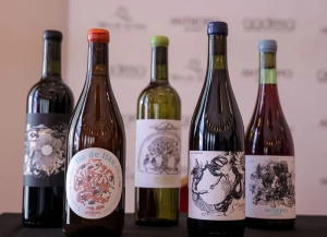 Centro de Desarrollo Vitivin&iacute;cola: el aporte de tecnolog&iacute;a y formaci&oacute;n en Jujuy