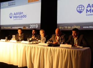 Litio con una oportunidad estrat&eacute;gica &ldquo;que quiz&aacute;s dure 3 o 4 a&ntilde;os&rdquo;