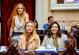 Chaher: “El Congreso va a investigar la mayor estafa en la que un presidente de la Nación se ve involucrado”