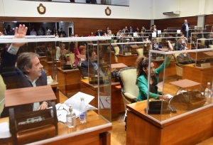 Legisladores aprobaron la necesidad de reforma parcial de la Constituci&oacute;n Provincial