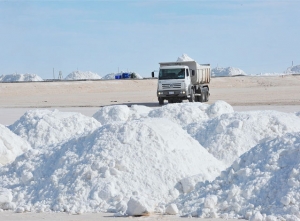 Avanzan gestiones por formaci&oacute;n avanzada en desarrollo de bater&iacute;as de litio