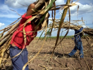 Jujuy ser&aacute; sede de Encuentro Regional contra el Trabajo Infantil