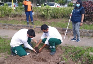 “Un árbol para mi ciudad”: Se plantaron nuevos árboles en Ledesma