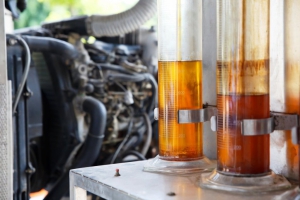 Transformar&aacute;n el aceite vegetal usado en combustible biodiesel